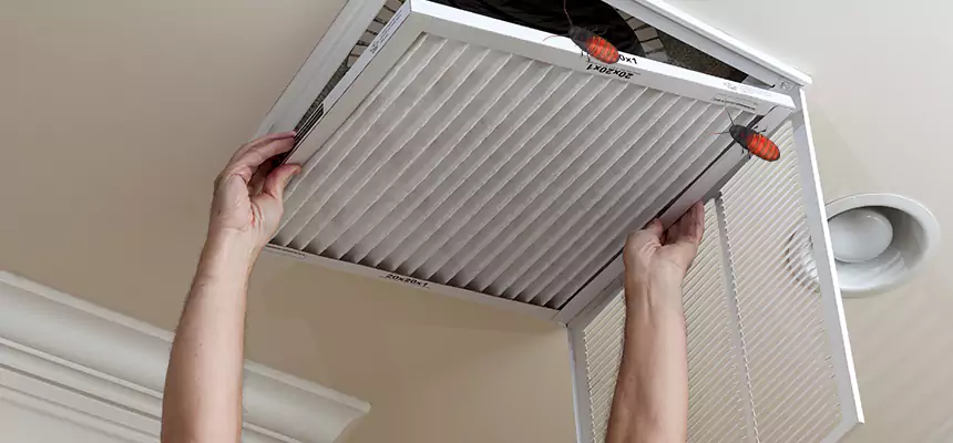 Our Insect Removal from Air Ducts Services in Brunswick, ME