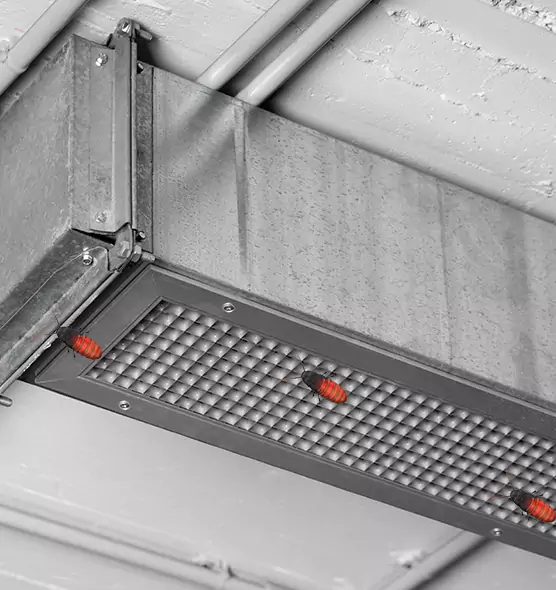 About Air Duct Cockroach Removal in Brunswick, ME