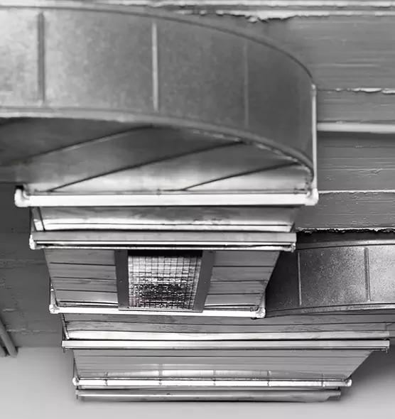 Professional Air Duct Pest Removal in Brunswick, ME