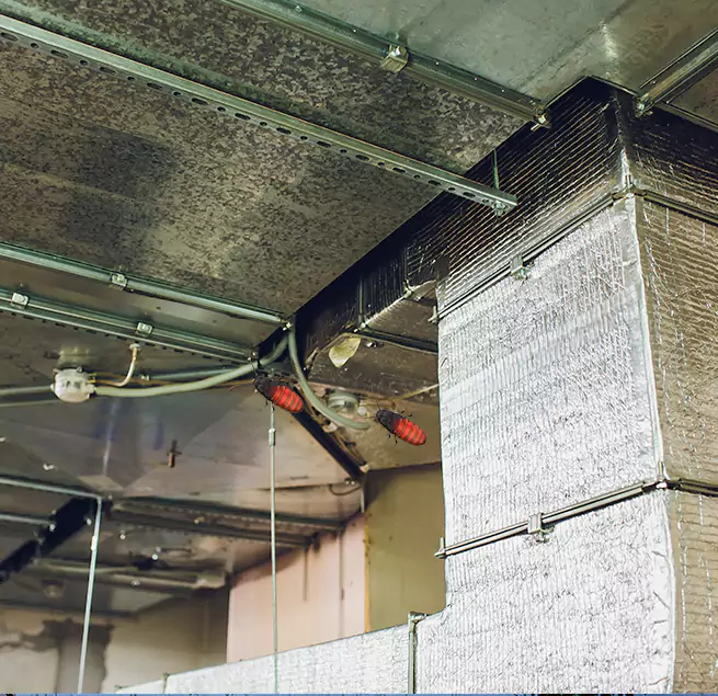 Why Homeowners & Businesses Trust Us Brunswick, ME?