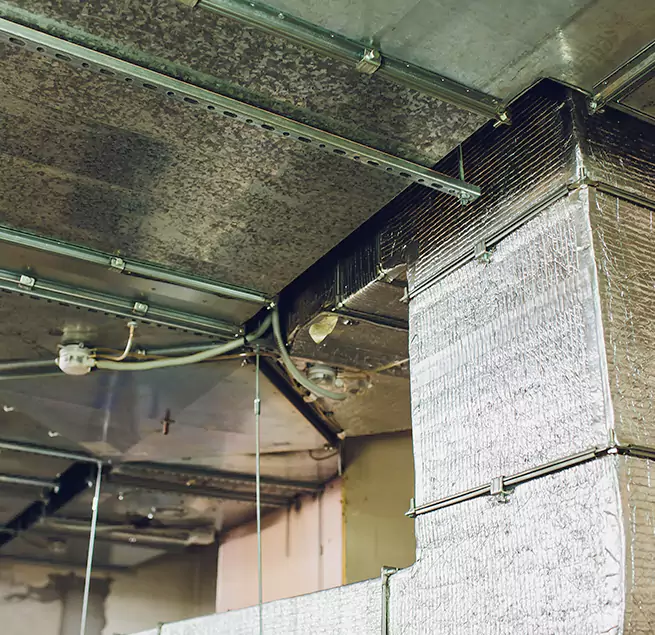 Why Homeowners & Businesses Trust Us in Brunswick, ME?